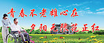夕阳红