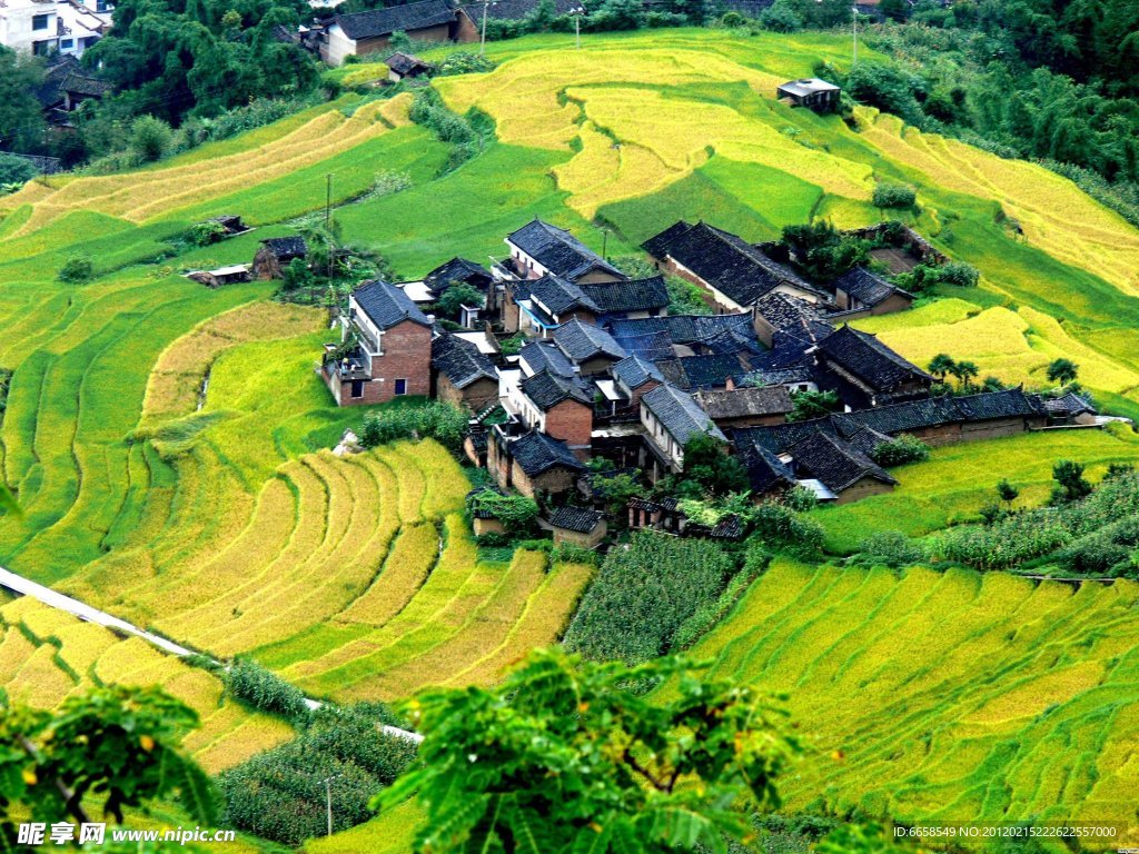 田园风光