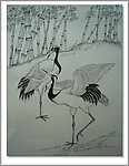钢笔画