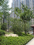 合肥绿城百合公寓住宅小区照片