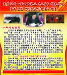 集团工会展板