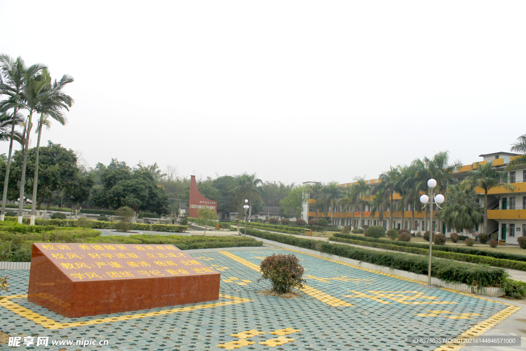 美丽的校园
