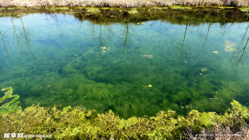 蓝色 河道