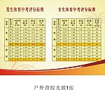 学校体育中考标准展板