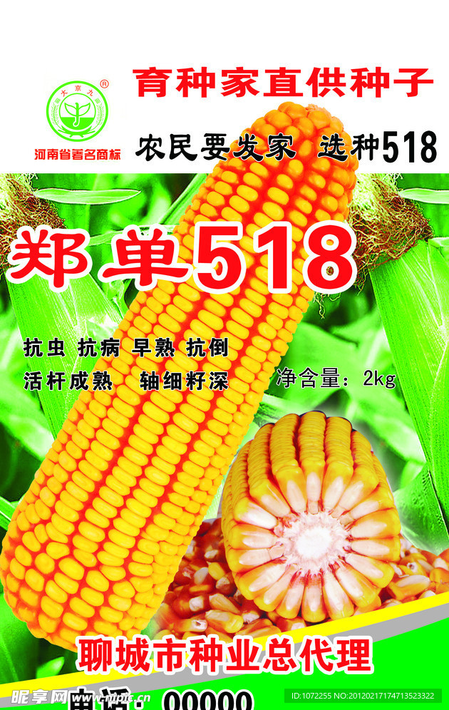 玉米