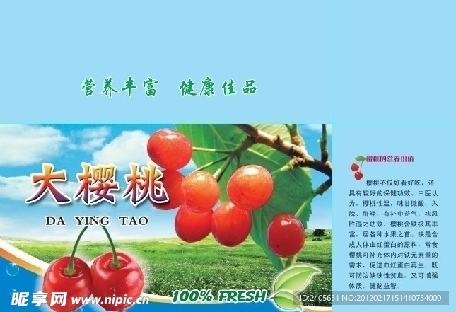 樱桃包装