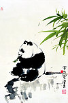 珍宝 熊猫