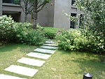 合肥绿城百合公寓小区