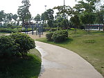 公园景观绿化