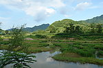 洼地