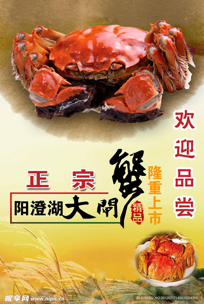 阳澄湖大闸蟹