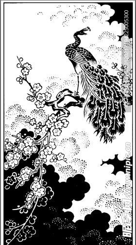 黑白装饰画孔雀
