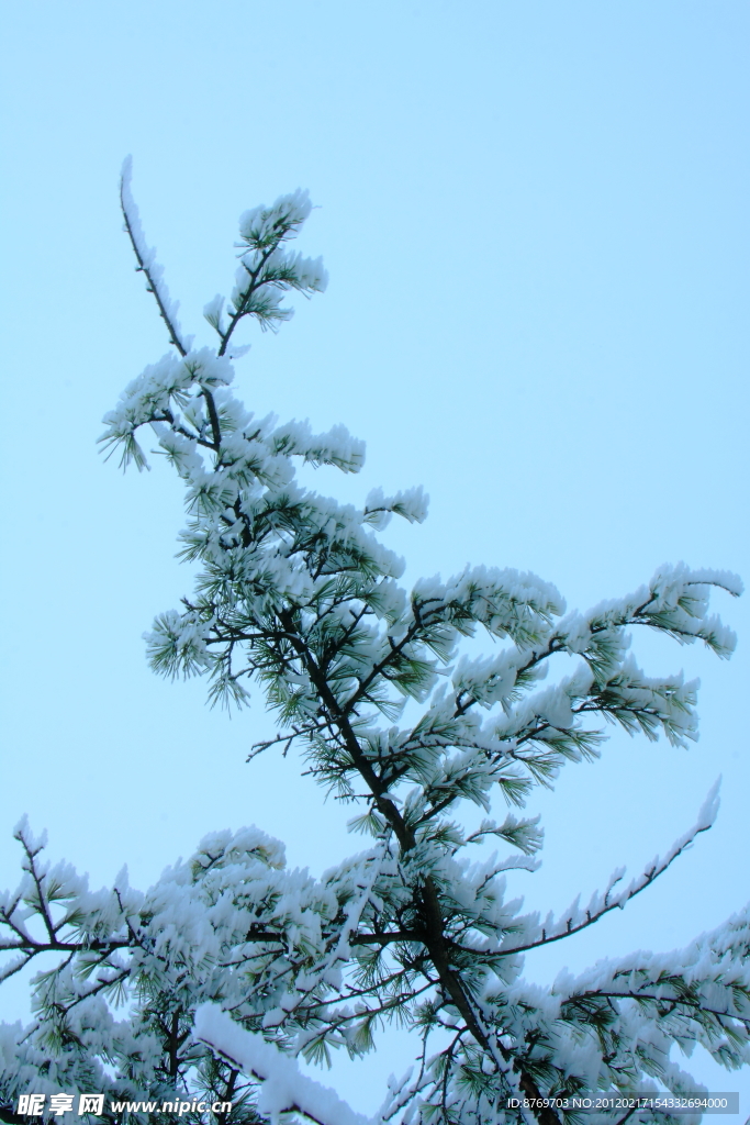 西岭雪山