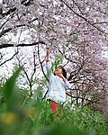 樱花女孩