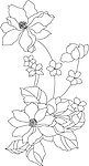 花纹
