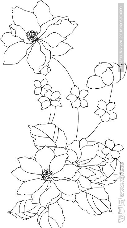 花纹