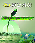 水景荷花