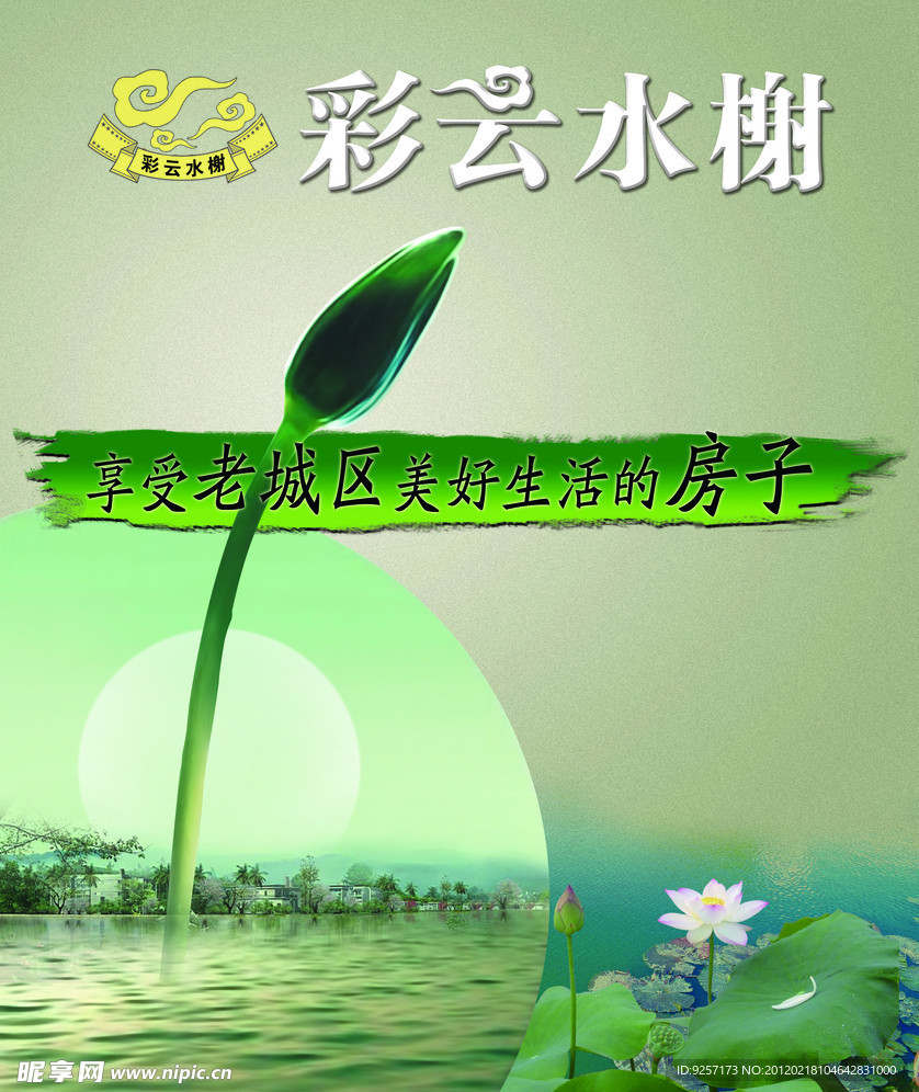 水景荷花