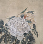 工笔芙蓉花
