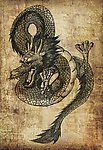 飞龙