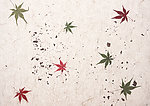 枫叶底纹