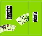 日照绿茶包装