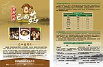 巴西菇宣传单