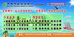 邮政广告
