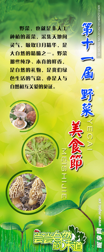 野菜美食节