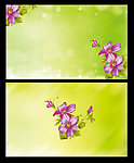 绿色清爽花朵背景设计