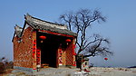 山神庙 老树