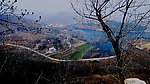 湖边 岔道