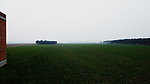田野 绿树