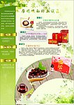 健康妈咪的饮食健康