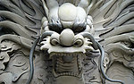 龙图案