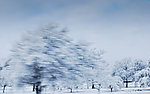 冰天雪地