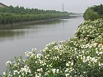江南水乡