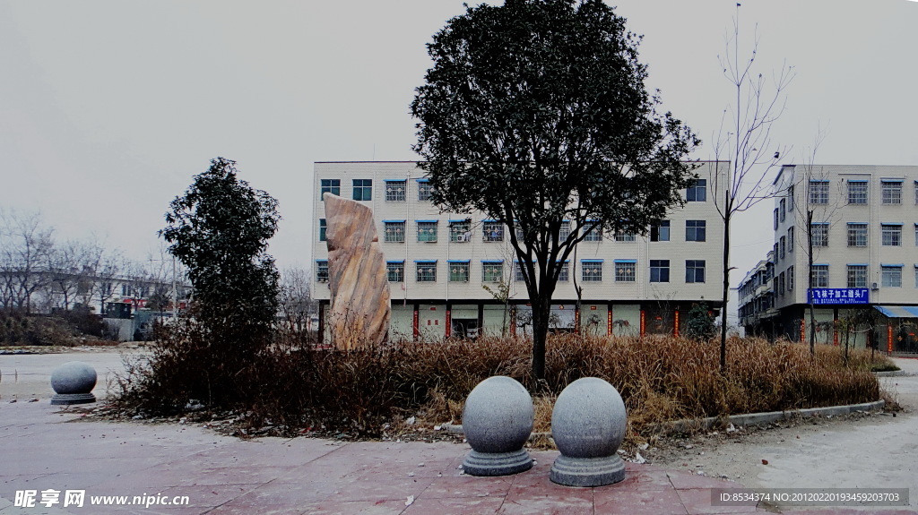 护树墩