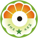 CD盘面