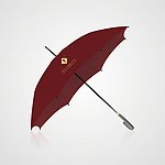 雨伞