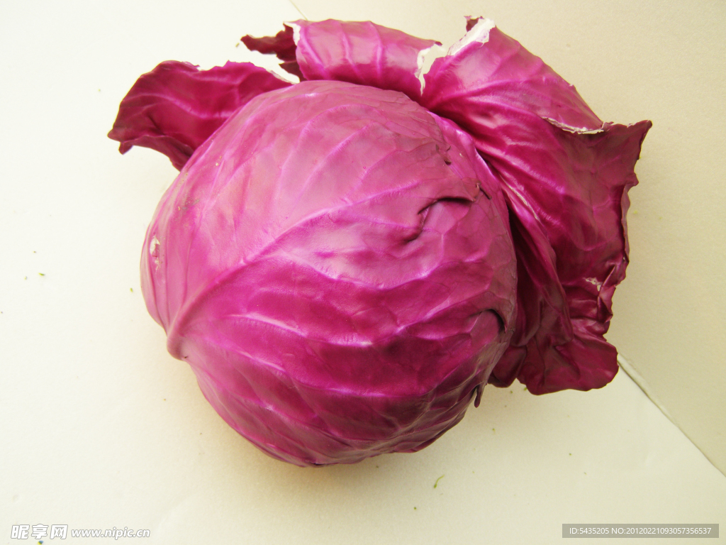 紫包菜