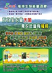 玉露农药宣传单