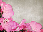 传统花纹底纹（非高清）