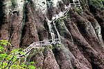石梯 栏杆(非高清)
