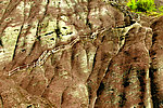 石梯 栏杆(非高清)