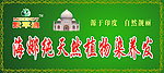 海娜纯天然植物染养发