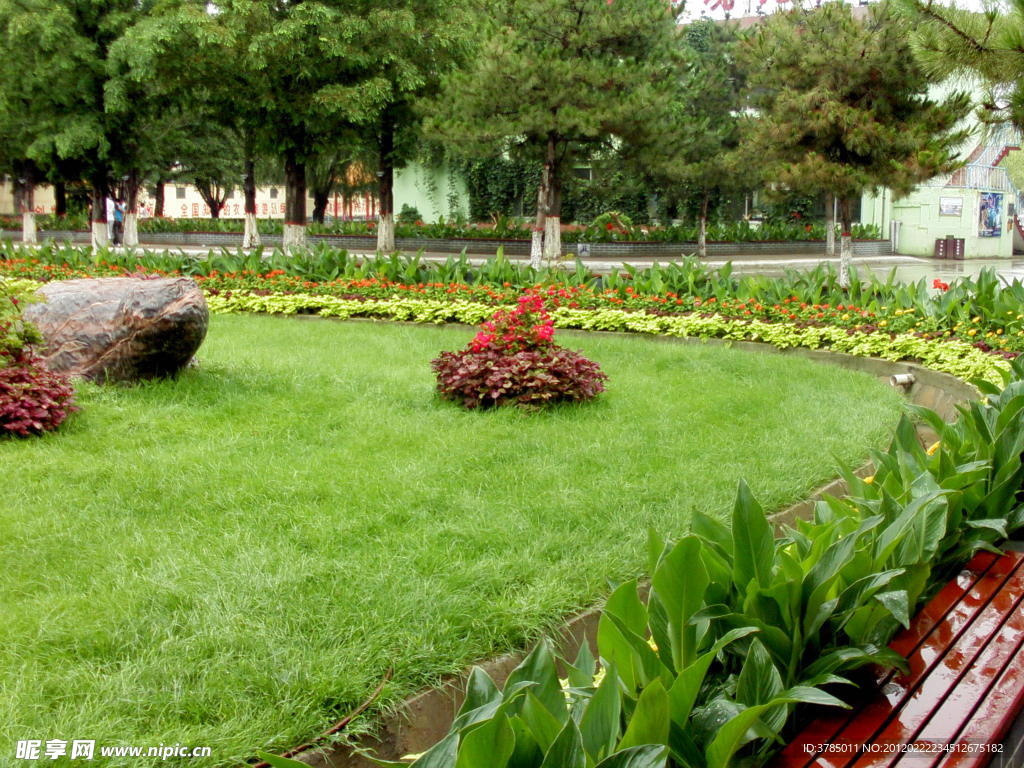 风景草地