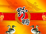 野鸭包装设计