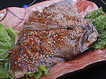 蝶鱼头