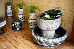 莲花水景